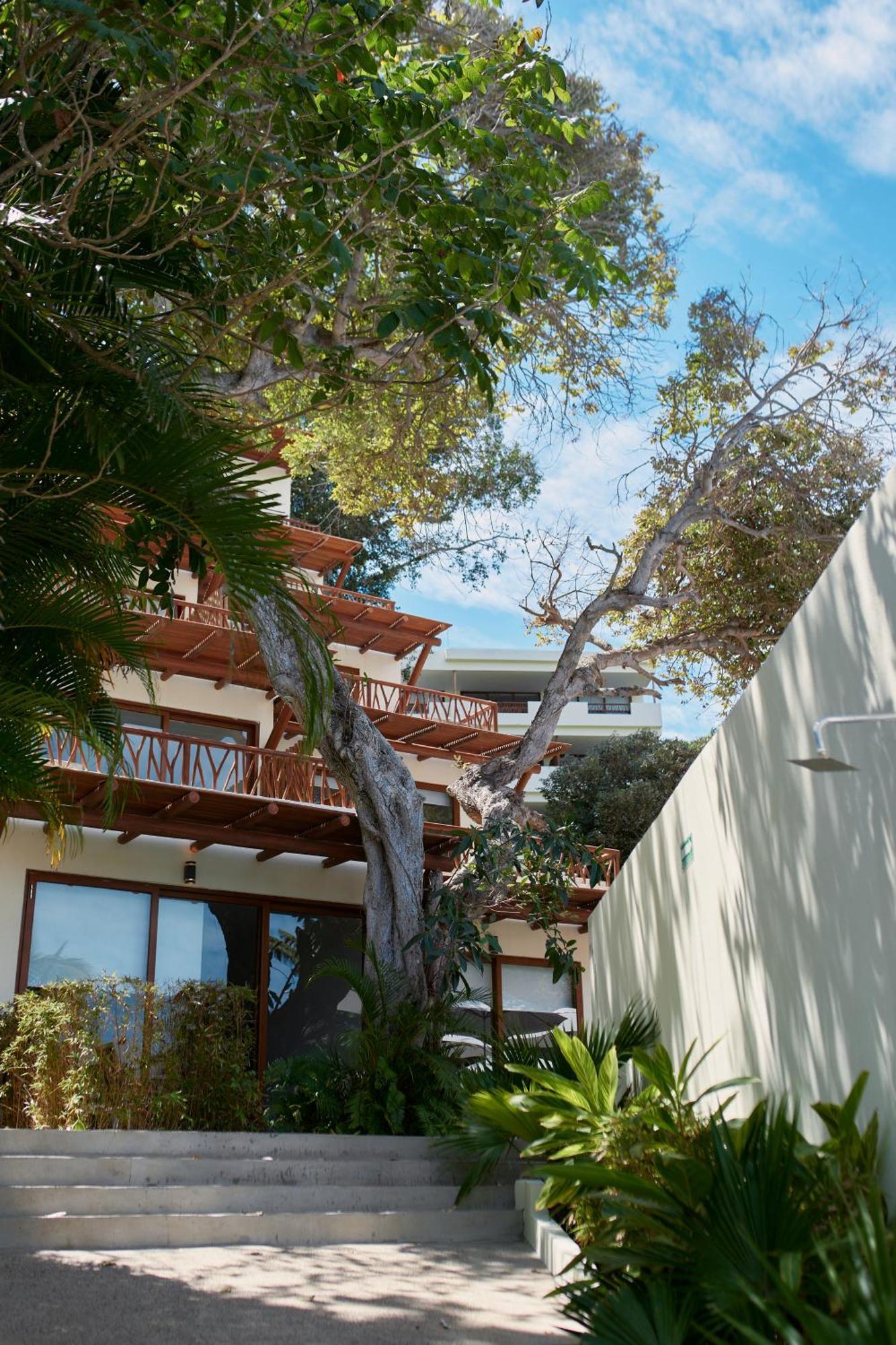 Ysuri Sayulita - Beachfront Hotel المظهر الخارجي الصورة